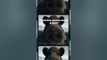 Начало Вайпа в Rust #shorts #rust #memes