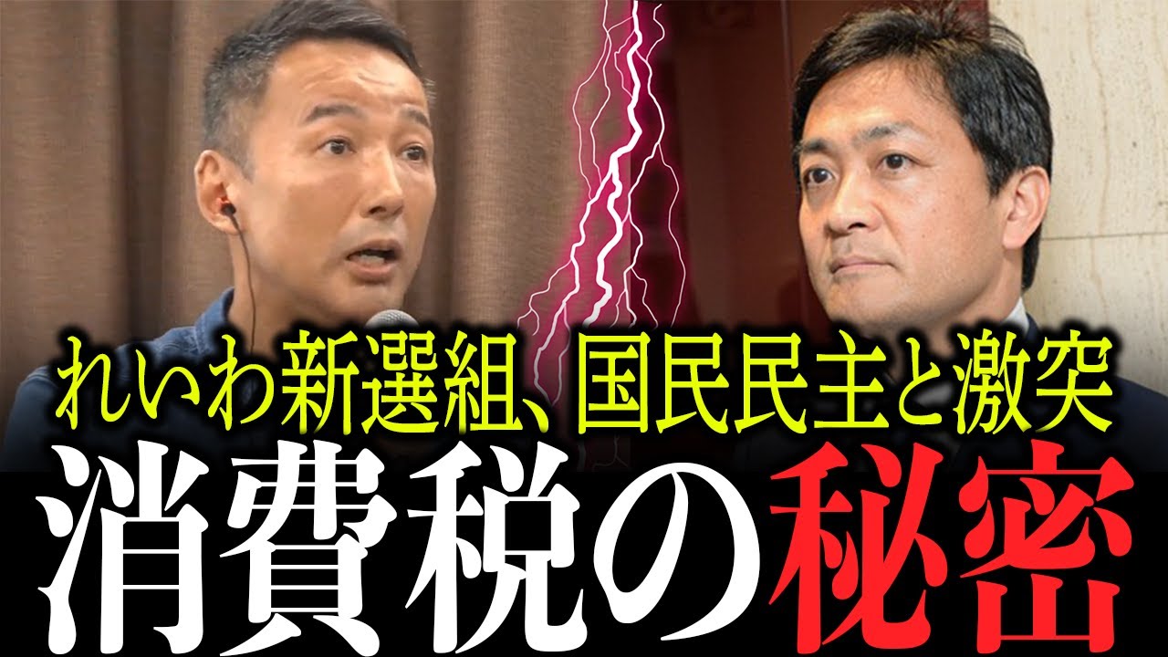 【れいわ新選組は”何もしない組”⁉︎】民主党を推す国民の疑問を山本太郎がぶった斬り！！【れいわ新撰組　公式チャンネル　切り抜き】【山本太郎】