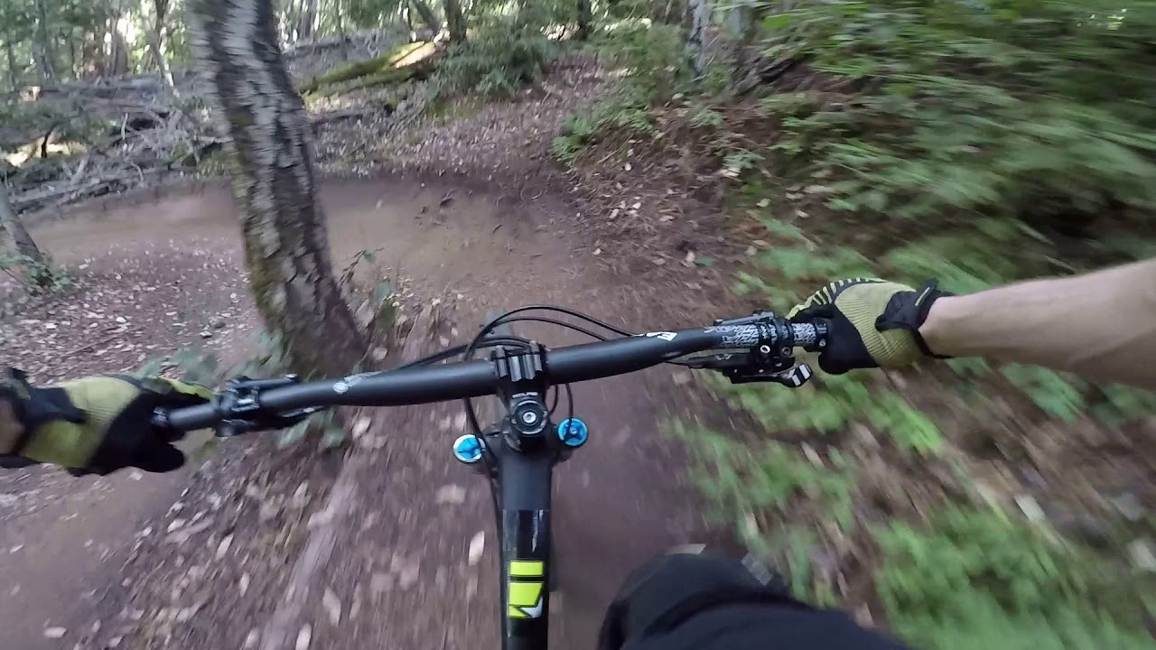 Flow Trail Soquel Demonstration Forest Santa Cruz YouTube