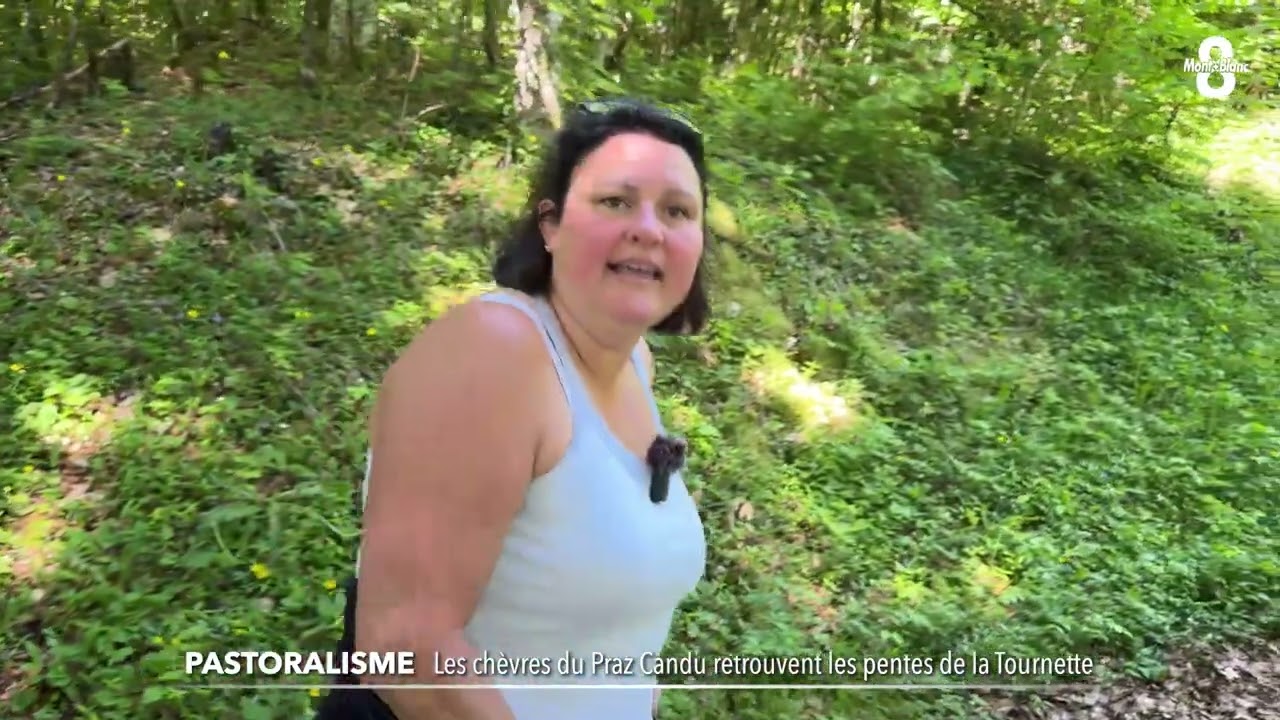 Les chèvres du Praz Candu retrouvent les pentes de la Tournette