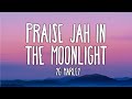 Praise Jah In The Moonlight - YG Marley (Lyrics) These roads of flames are catching a fire