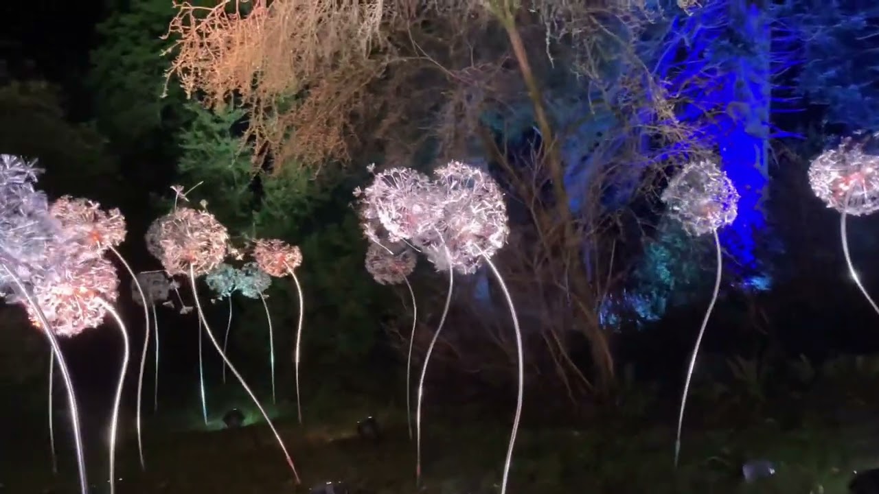 Stourhead Christmas lights 2024