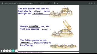 Darwin’s Theory of Evolution The Puzzle of Life’s Diversity Chapter 15 1
