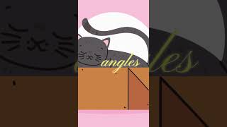 Mind-Blowing Conformal Cats Any Size!