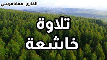 آمن الرسول بما أنزل إليه من ربه والمؤمنون | أواخر البقرة | تلاوة خاشعة من القارئ معاذ مرسي