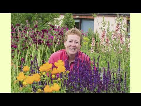 Rosy Hardy, perennial Grower - in conversation