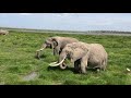 Visit to Amboseli National Park