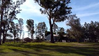 Estancia La Cecilia Segunda Sección Cañaditas Sauce Corrientes