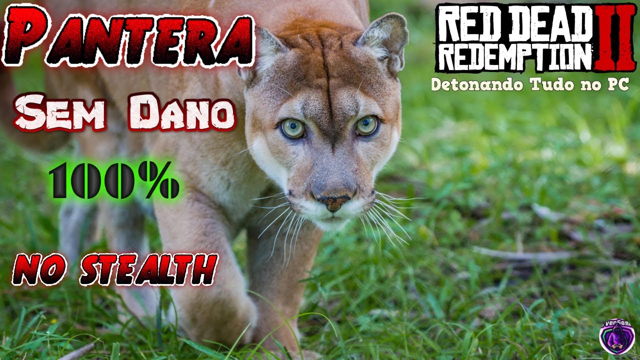 RED DEAD REDEMPTION 2 - COMO MATAR A PANTERA SEM DANO 100% NO STEALTH # ...