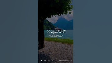 القران الكريم من افضل الشيوخ اللي بحبهم