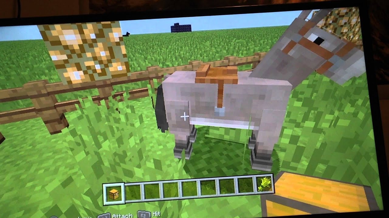 Minecraft for ps3 how to put chest on a donkey - YouTube