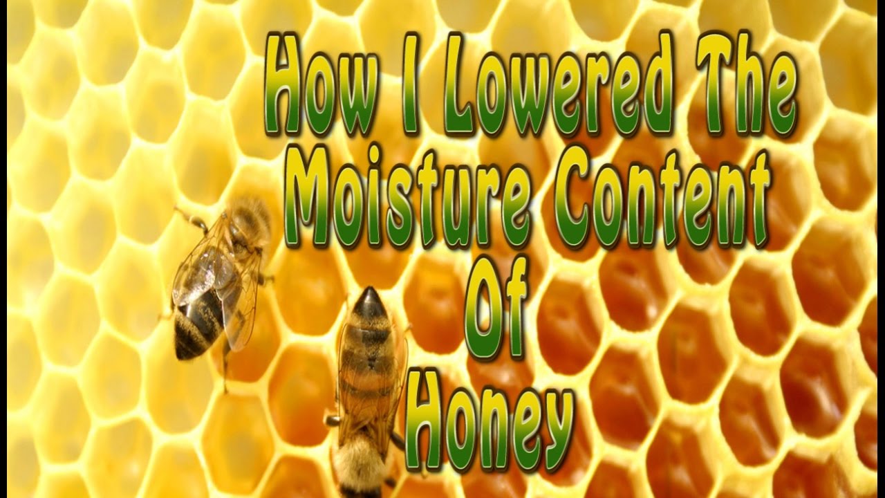 How I Dehyrated Some Wet Honey With Success Drying Honey Youtube