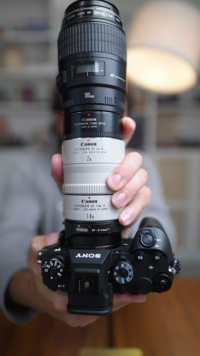 Download lagu What Would You Do With This Insane Macro Lens #photography #macrophotography