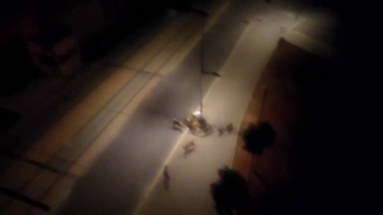 الكلاب الضالة في الوفاق عين السبع الدار البيضاء تهاجم الساكنة