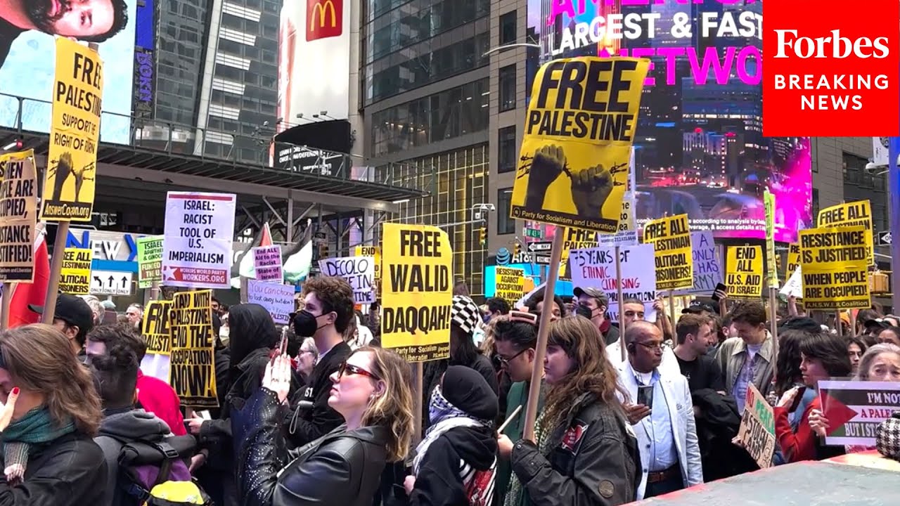 Pro-Palestine demonstrators rally in Times Square in NYC