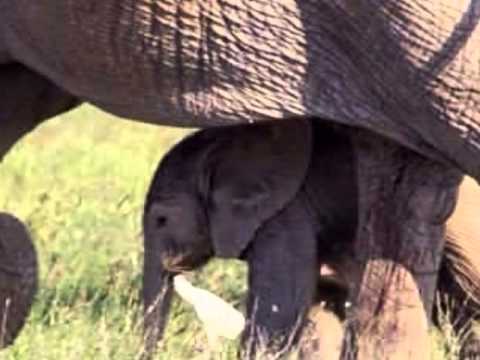 Personification Poem - YouTube