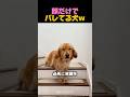 この顔、絶対やってるｗ