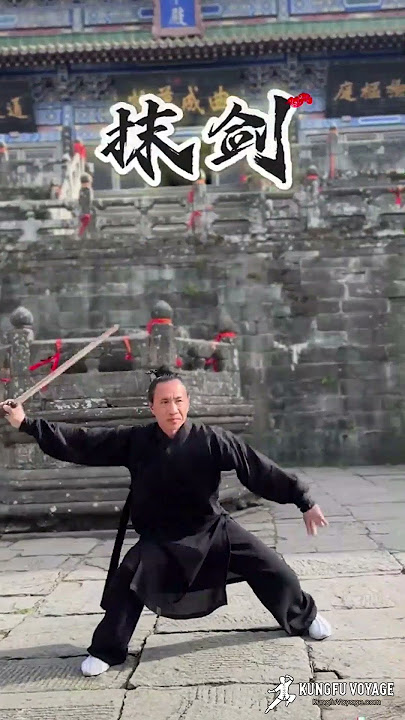 Wudang 13 Sword — Full Routine Revealed! ⚔️ #martialarts #taichi #kungfu