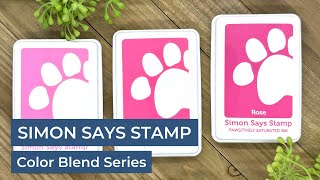 Simon Says Stamp Pawsitively Saturated Ink Color Blend Series