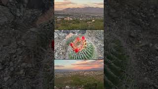 Outside beauty Lisa Raisbeck photos