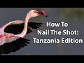 How To Nail The Shot - Tanzania Edition