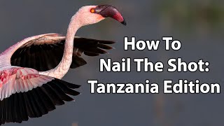 How To Nail The Shot - Tanzania Edition