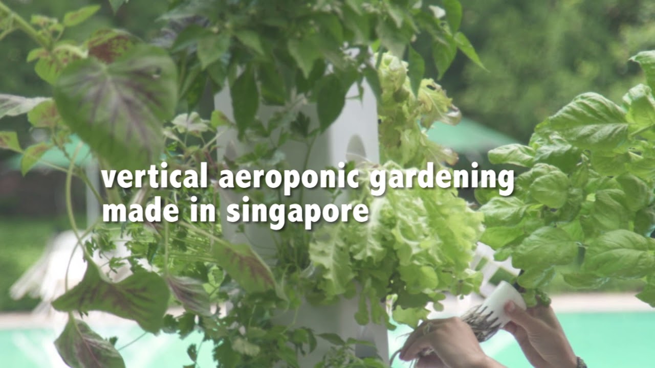 Aerospring Gardens - Vertical aeroponic gardening