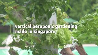 Aerospring Gardens  Vertical Aeroponic Gardening