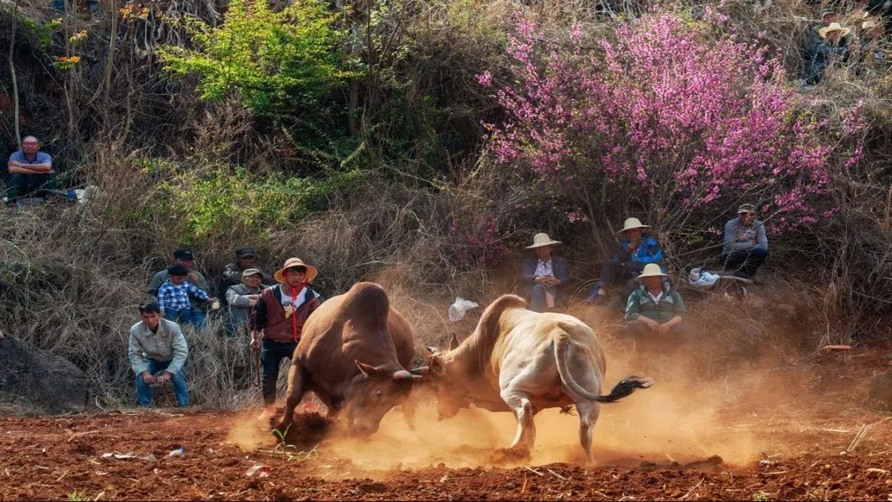 2023年10月最佳比賽Part1，看完直呼太燃了