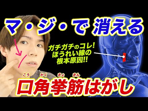【初公開】ほうれい線が一瞬で消えて口角も即上がる『口角挙筋はがし』やってみて