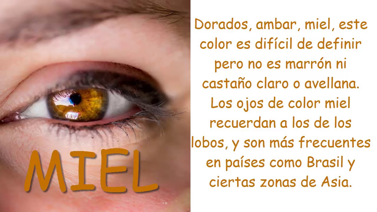 8 Colores de OJOS mas EXTRAÑOS - YouTube