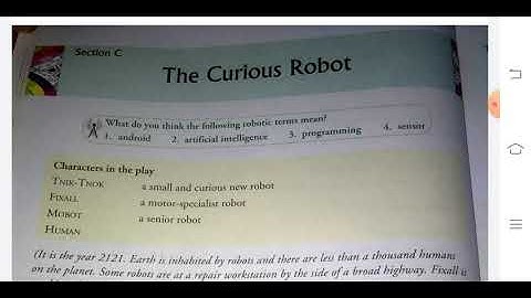 The curious robot
