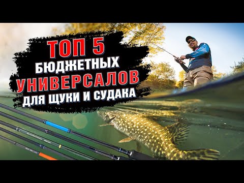 Топ 5 бюджетных универсальных спиннигов на судака и щуку!