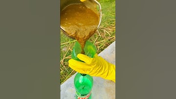 we made biogas at home #gobargas #biogas