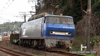 JR貨物 EF200-901号機+チキ3B+コキ4B 臨時貨物列車8867レ 前空→大野浦 2014.3
