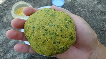 Làm Mồi Bén Câu Cá Mè Vinh