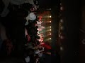 Ekoh kid’s crowd surfing #live #music #vans #dance #ekoh