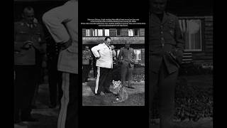 His pet Lions | #history #ww2 #information #edit #shorts #german