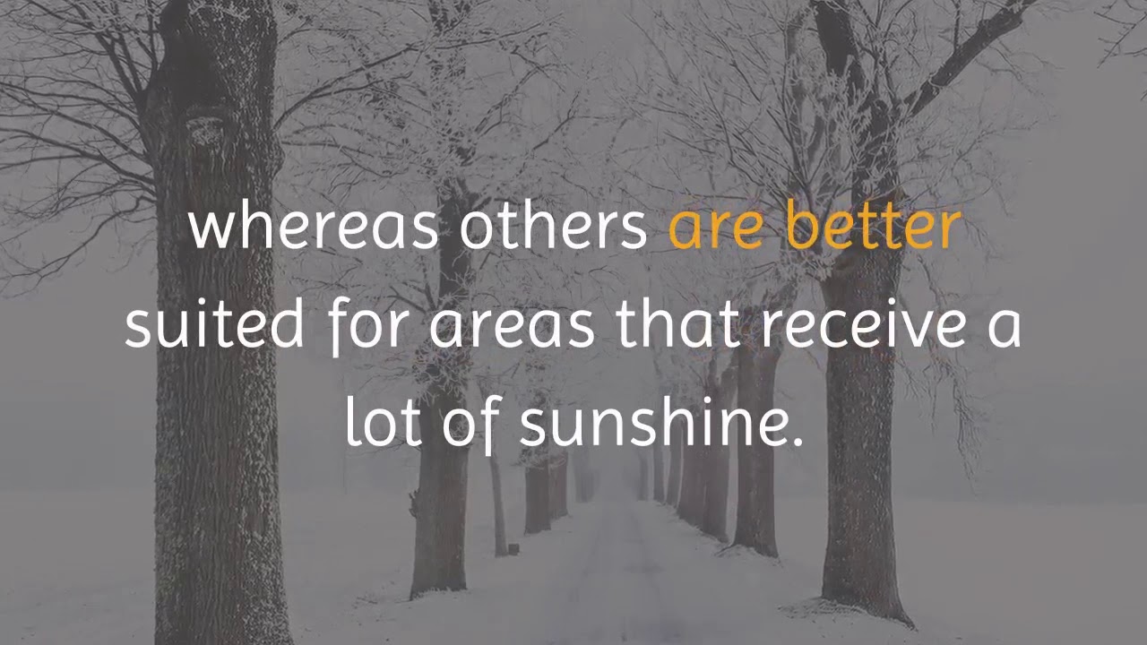 Roof Restoration Sydney - Guide To Roof Restoration