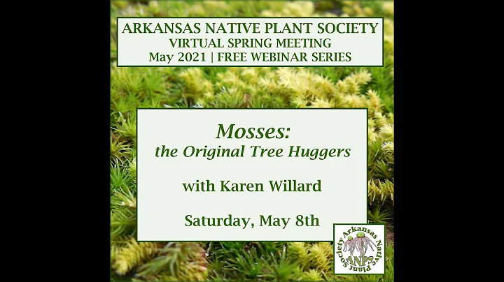 Mosses the Original Tree Huggers with Karen Willard