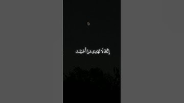 إنك لا تهدي من أحببت ولكن الله يهدي من يشاء | #ياسر_الدوسري #قرآن #تلاوة #Quran #سورة_القصص