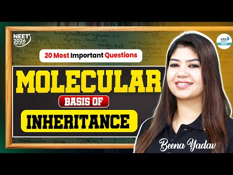 20 Most Important Questions of Molecular Basis of Inheritance || #NEET2026 || @SriChaitanyaAcademyNEET
