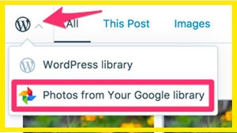 Breaking News | Google photos can now integrate with your wordpress.com blog