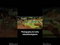 Interactive learning with Dynamic Photo Camera asset. Unity photography asset #unity #games #assets