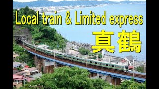 東海道線の特急＆普通電車 185系・サフィール踊り子・E233  Local train and Limited express on Tokaido-Line