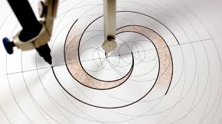 The geometry of a double spiral