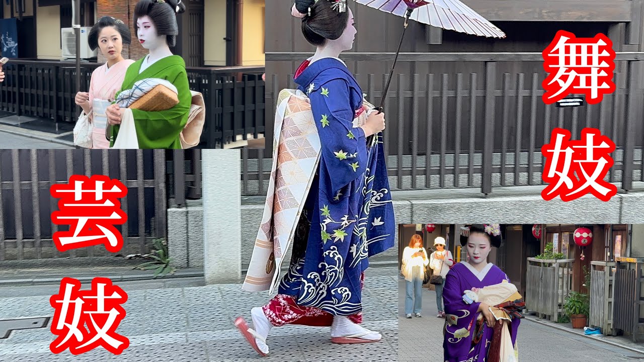 外国人観光客も振り向く綺麗な舞妓さん芸妓さん👘Kyoto  Japan🇯🇵Gion