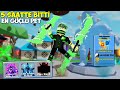 14 EN GÜÇLÜ PET İLE 5 SAATTE TÜM RANKLAR BİTTİ / Ninja Legends / Roblox Türkçe