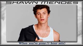 Shawn Mendes - When you're gone (1 hour mix)