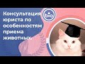 Консультация юриста по особенностям приема животных